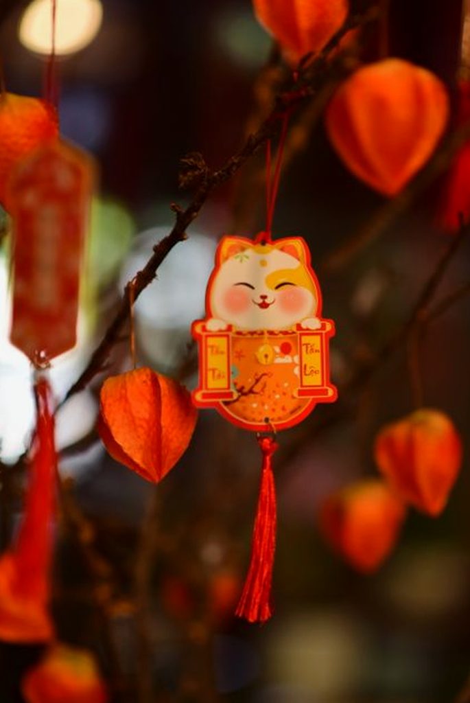 đăng nhập Nohu